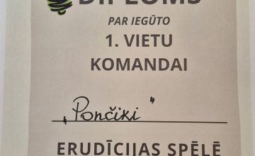 Es zinu visu