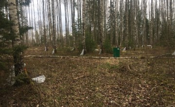 Lauksaimniecība un lauku attīstība