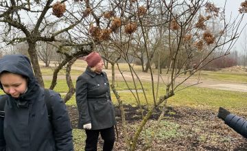 Praktiskie darbi ainavu būvtehniķiem