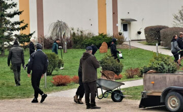 Par trīs miljardiem koku vairāk