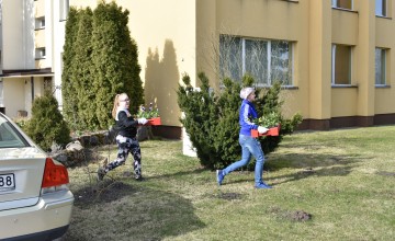 Talka 2019
