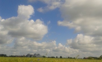 Lauksaimniecība un lauku attīstība