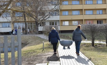 Talka 2019