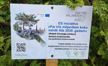 Par trīs miljardiem koku vairāk
