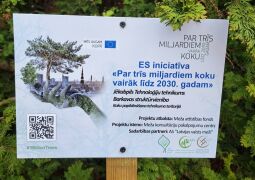 Par trīs miljardiem koku vairāk
